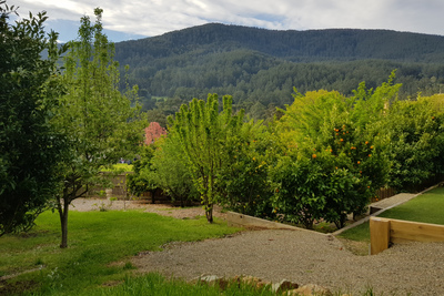 View from backyard